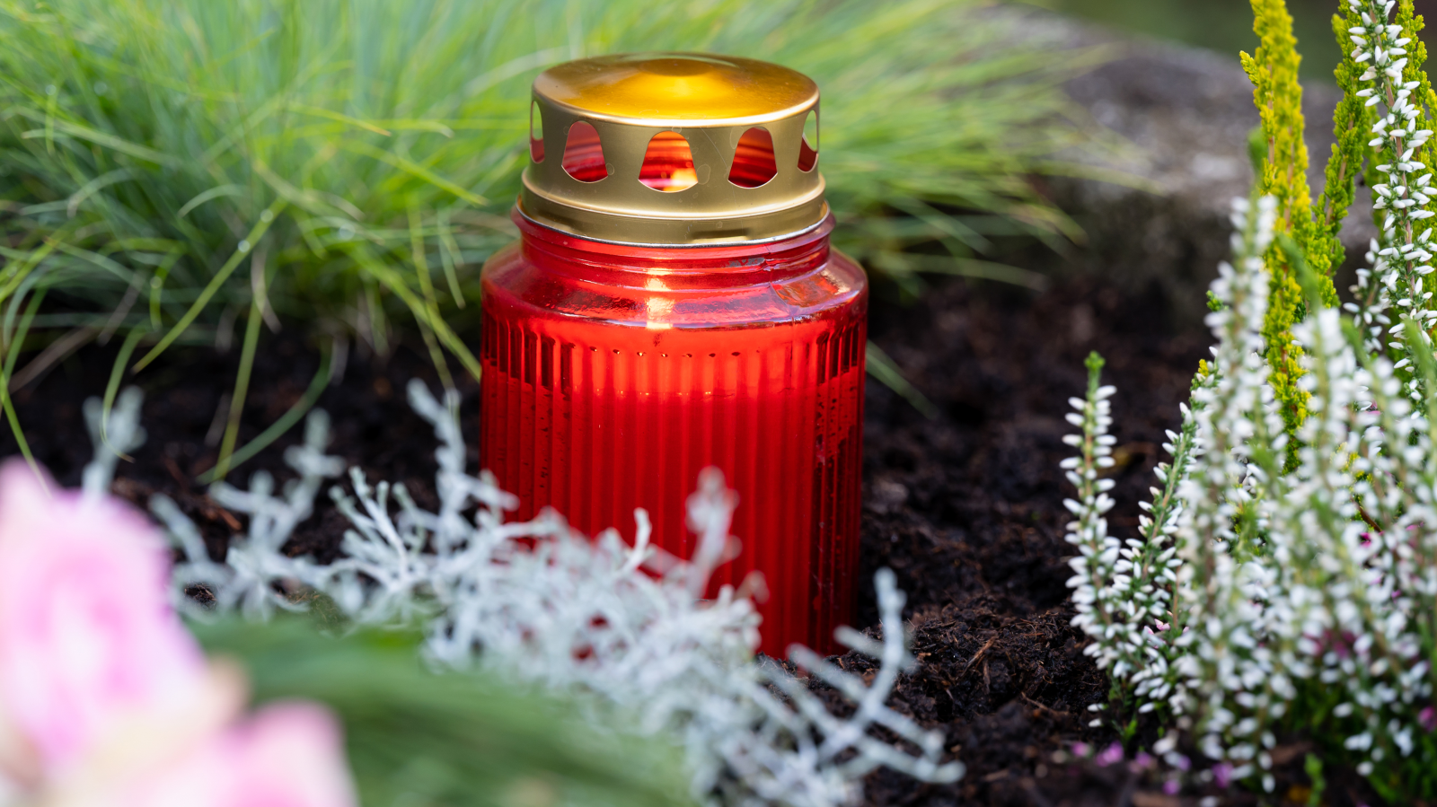 1 Kasım Allerheiligen: Azizler Günü’nün Anlamı ve Etkileri, © dpa