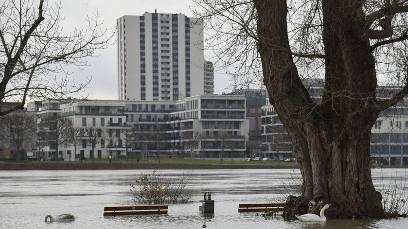 Mannheim Neredeyse Sular Altında Kaldı, © dpa Mannheim Neredeyse Sular Altında Kaldı, © dpa