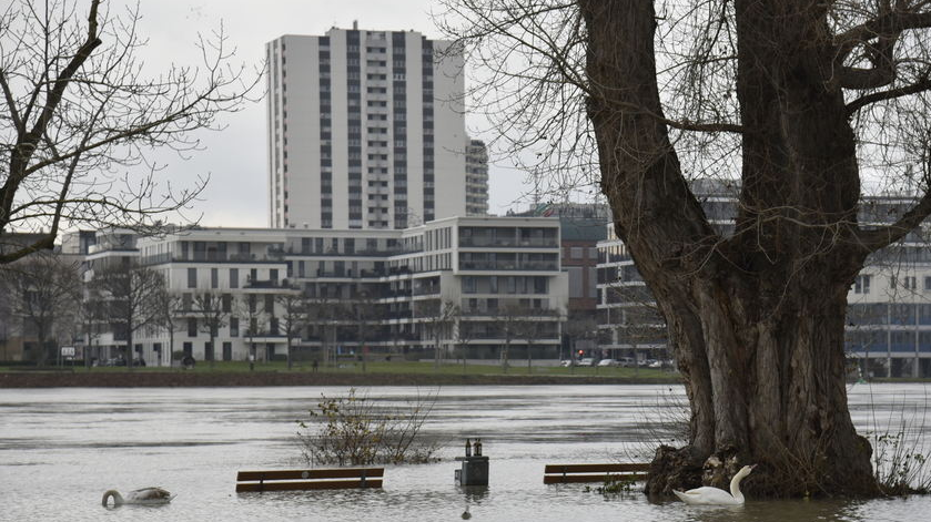 Mannheim Neredeyse Sular Altında Kaldı, © dpa