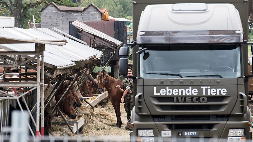 Thurgauer Kantonstierarzt sieht sich als Opfer von Staatsversagen, © Keystone/SDA Thurgauer Kantonstierarzt sieht sich als Opfer von Staatsversagen, © Keystone/SDA