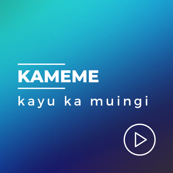 Play Kameme Live