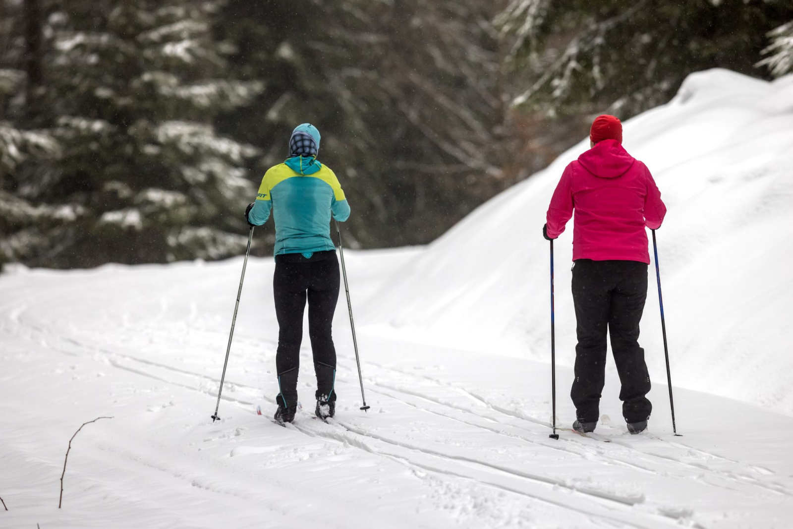 Wintersportler fahren durch den Thüringer Wald.