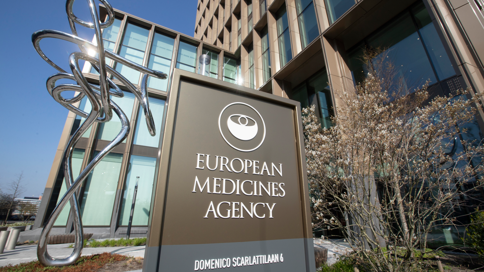 AB’de Covid ve Grip İçin İlk Kombine Aşıya Onay, © Peter Dejong/AP/dpa