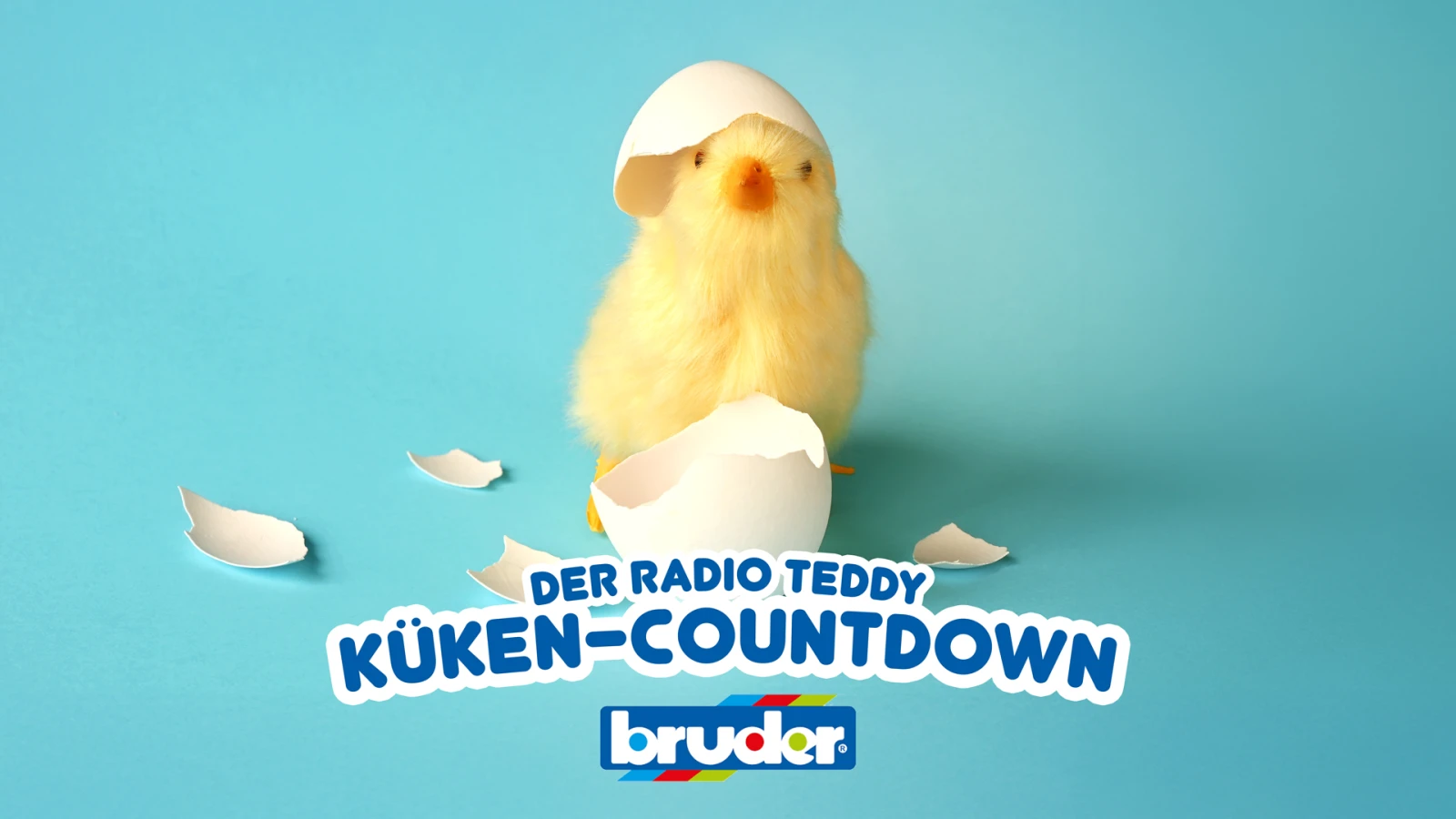 Der Radio TEDDY-Küken-Countdown Der Radio TEDDY-Küken-Countdown