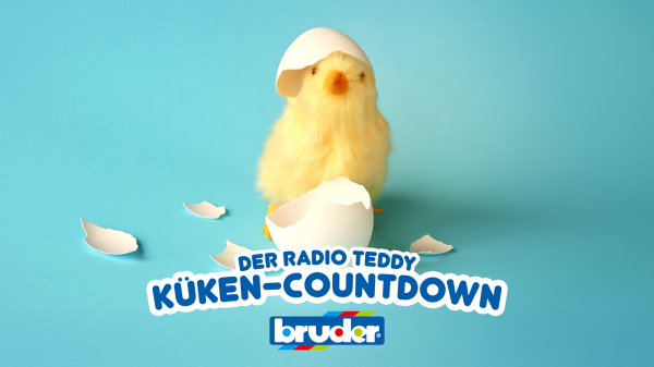 Der Radio TEDDY-Küken-Countdown