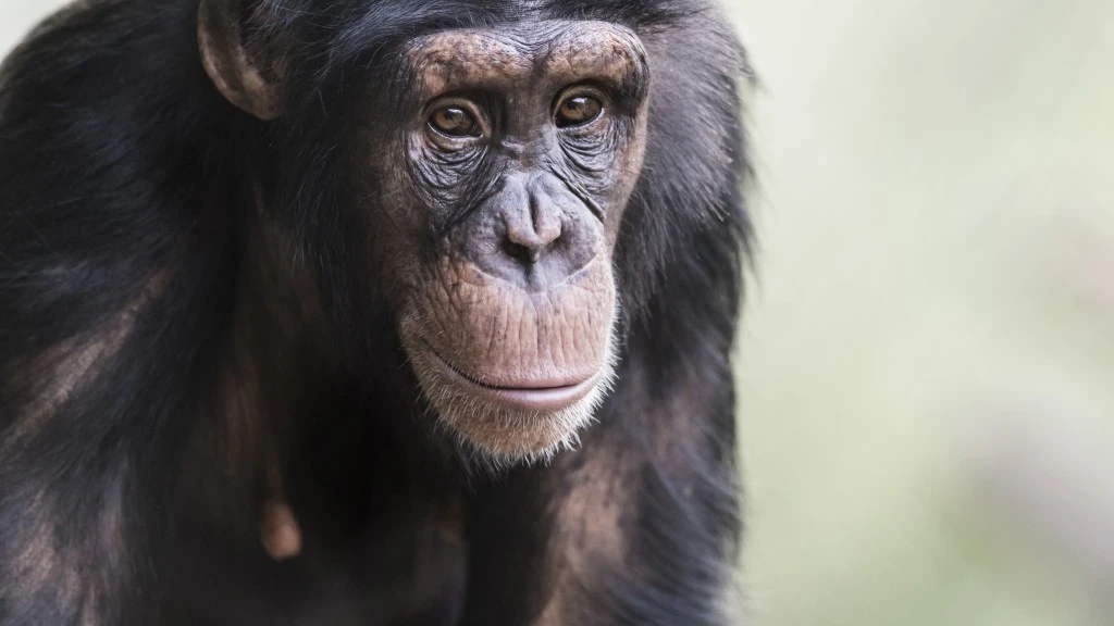 © Zoo Basel © Zoo Basel