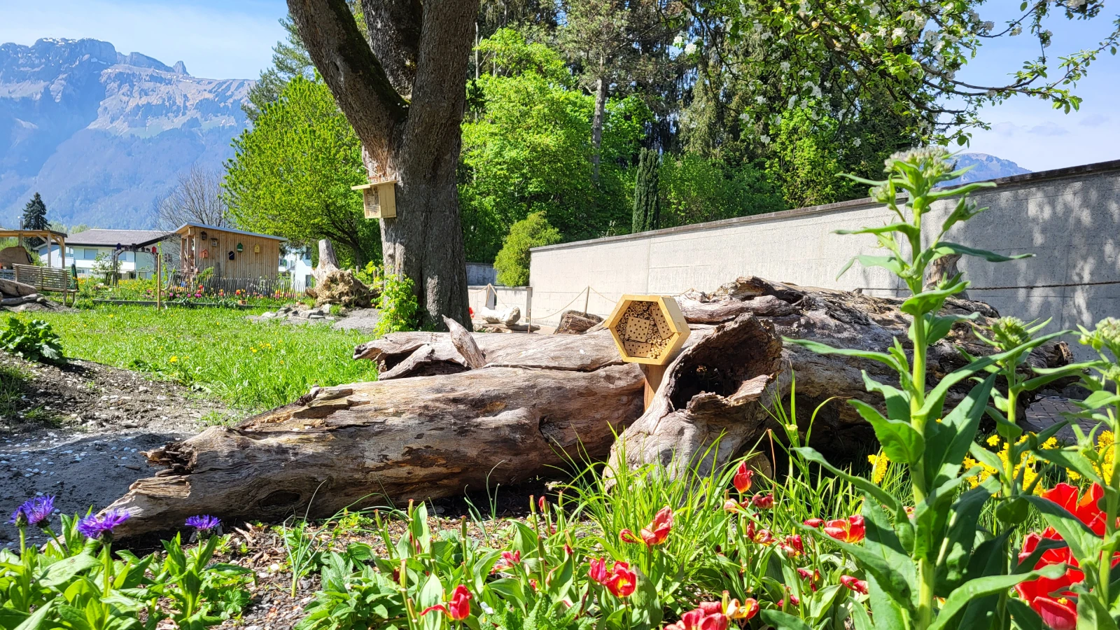 Tag der Biodiversität und Eröffnung des Naturschaugartens, © Gemeinde_Ruggell Tag der Biodiversität und Eröffnung des Naturschaugartens, © Gemeinde_Ruggell
