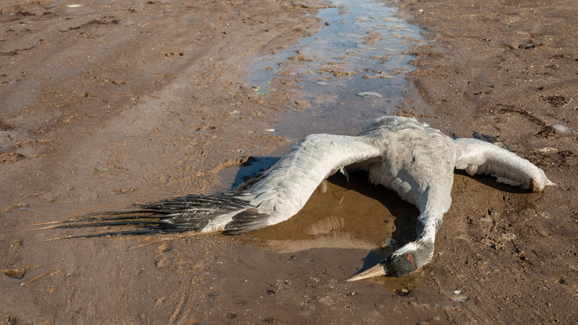 © Quelle: Wissenschaft.de