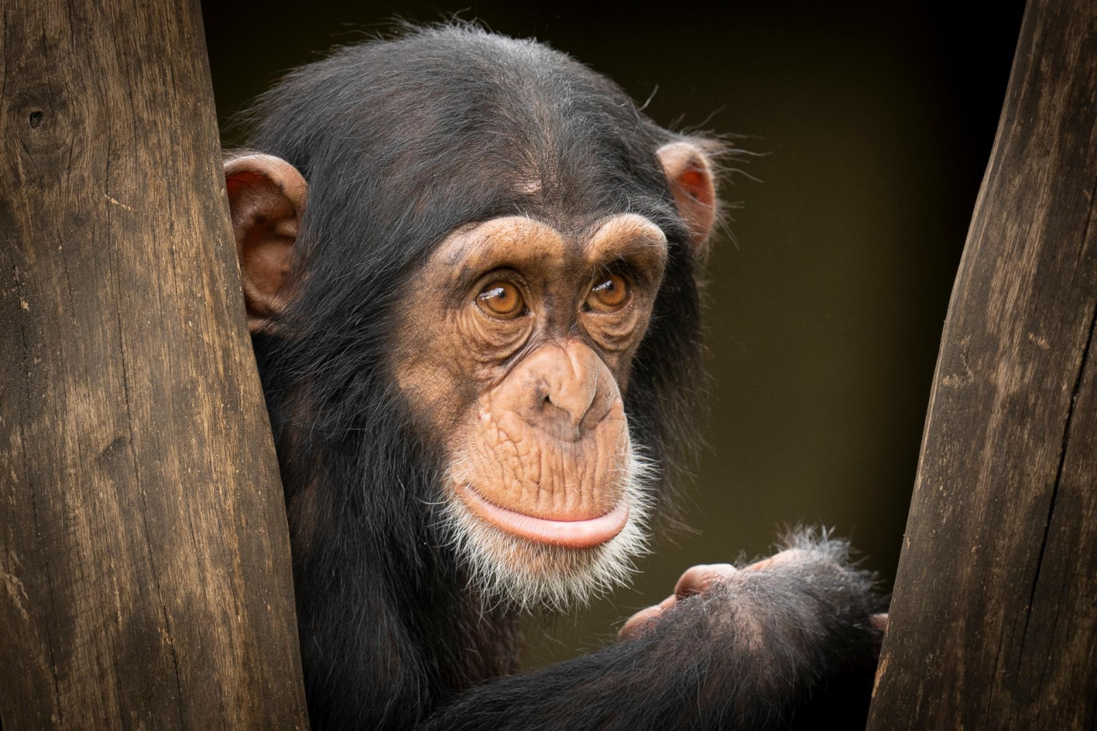 Walter Zoo in Gossau SG