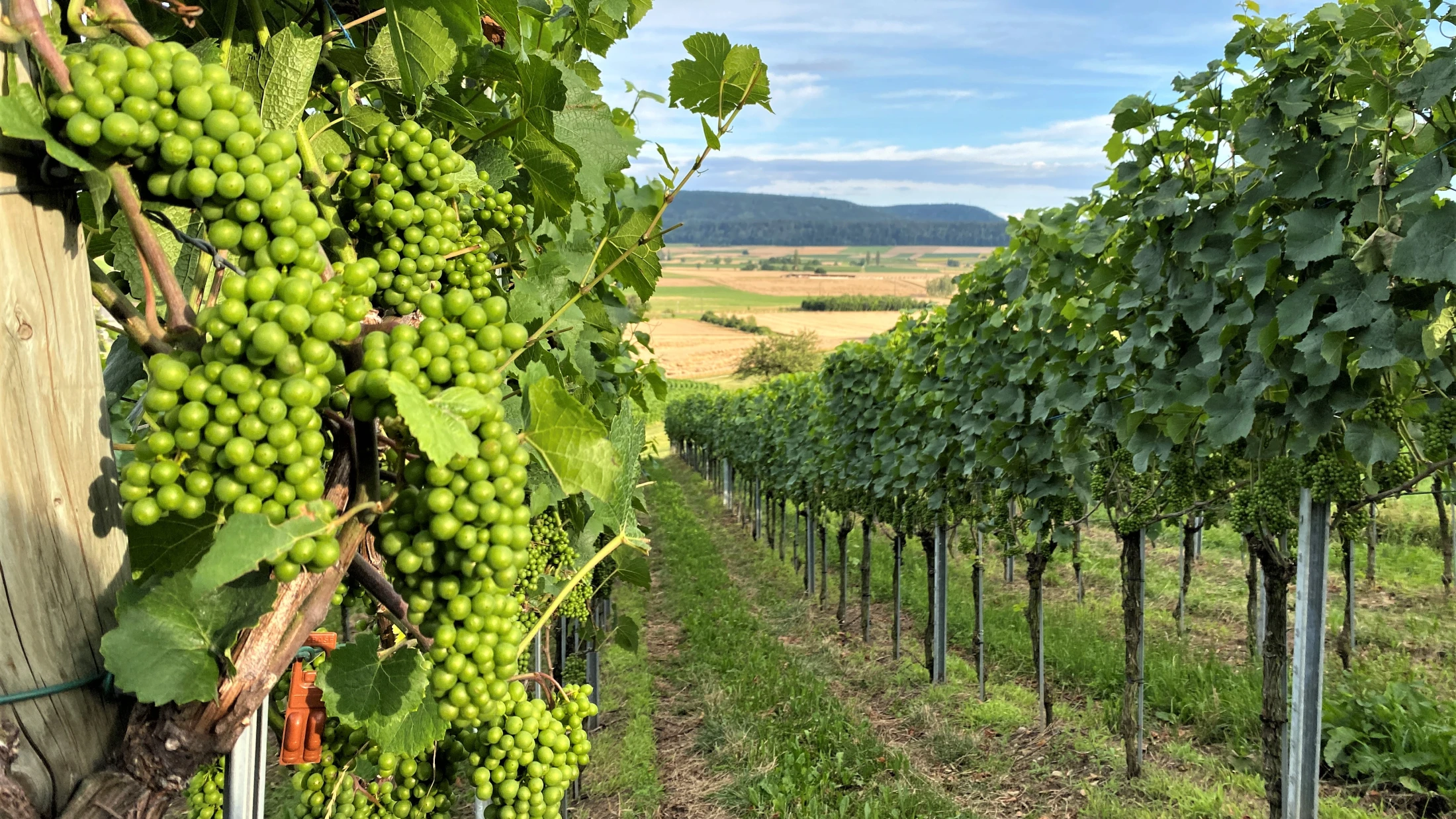 © Schaffhauserland Tourismus © Schaffhauserland Tourismus