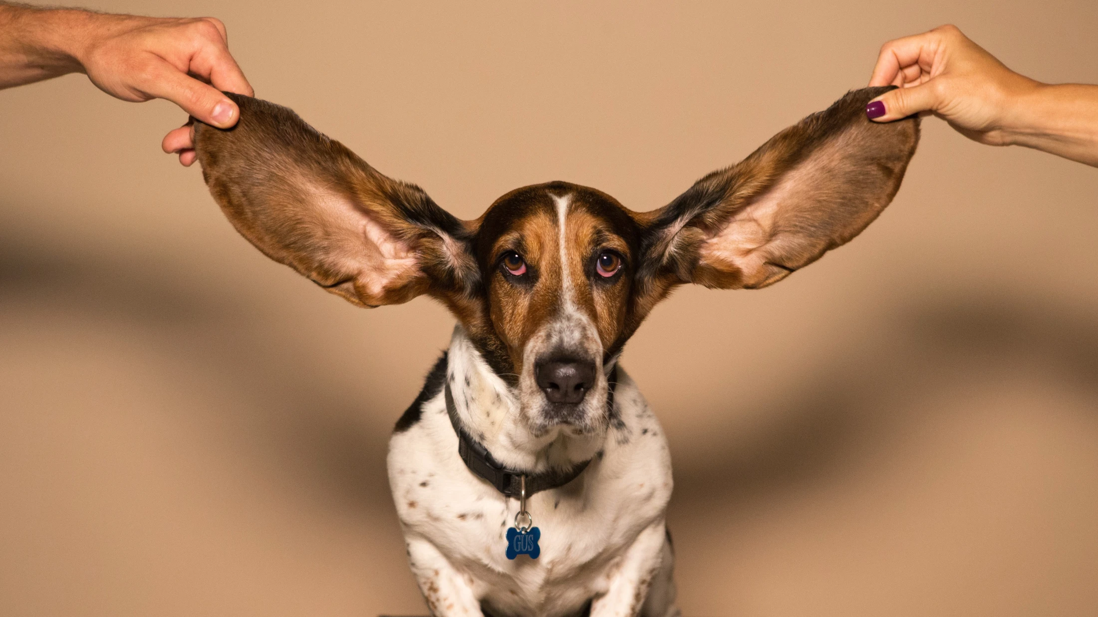 © kyle smith © kyle smith