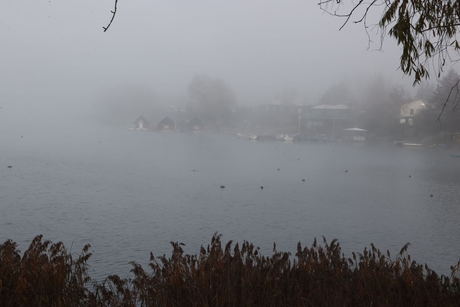 Ein bedeckter Himmel, gelegentlich Regen und zum Teil dichter Nebel bestimmen die Wetteraussichten der nächsten Tage. (Symbolbild), © Bodo Schackow/dpa