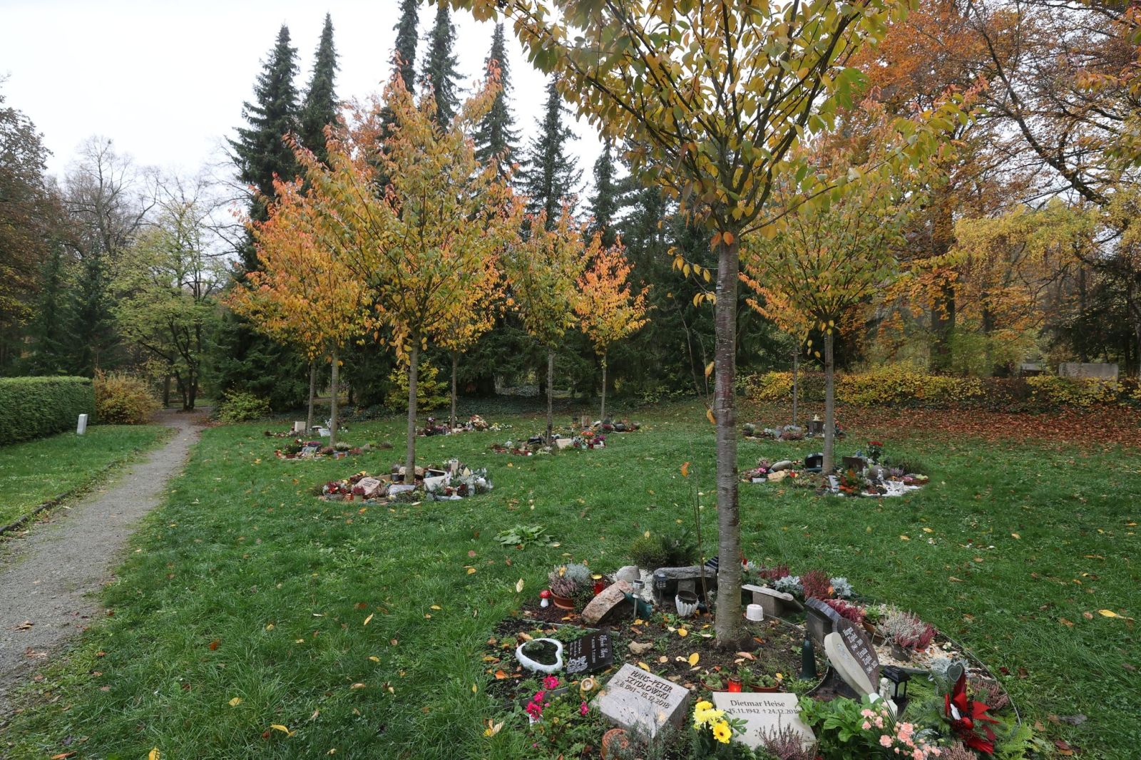 Baumgräber, Urnenflächen unter Bäumen oder um Bäume gruppiert, sind zu sehen.