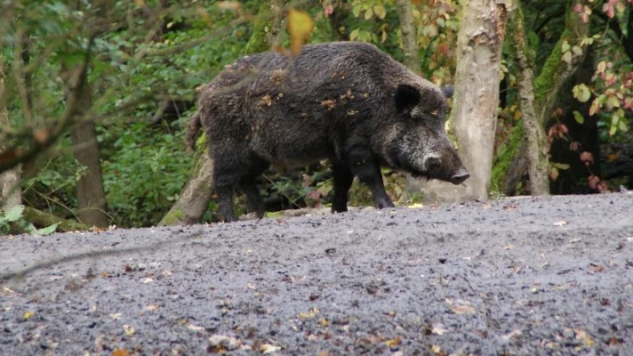 © Bild: Danny Kron, Unsplash © Bild: Danny Kron, Unsplash