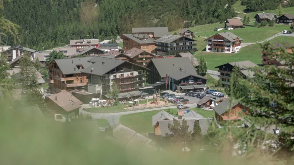 © gorfion.li © gorfion.li