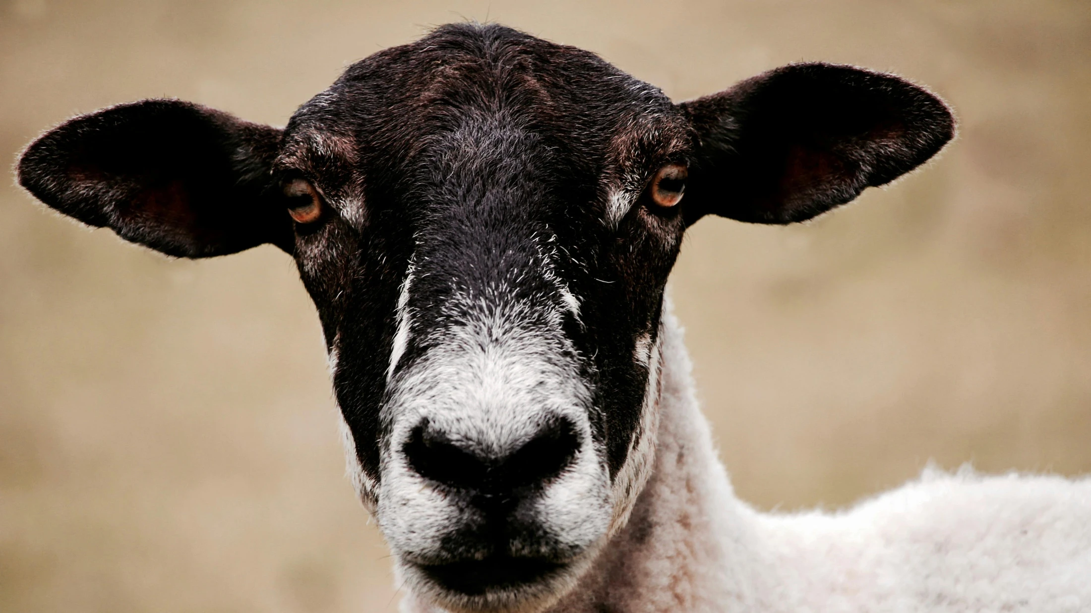 © Leon Woods © Leon Woods