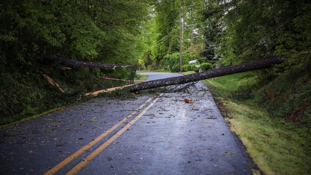 Rheinland-Pfalz'da etkili olan fırtına ağaçları devirdi, bazı kara yollar kapandı, © shutterstock Rheinland-Pfalz'da etkili olan fırtına ağaçları devirdi, bazı kara yollar kapandı, © shutterstock
