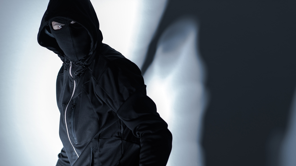 Dieb, © Shutterstock