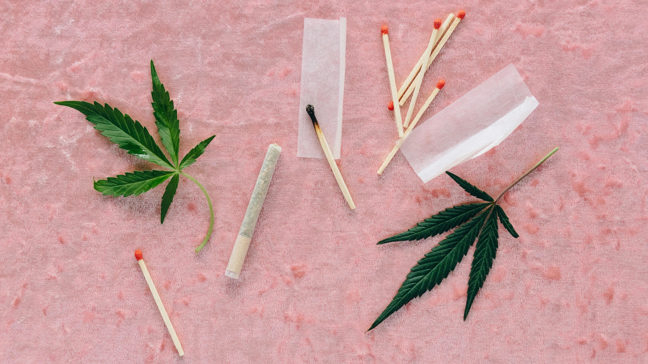 © Nataliya Vaitkevich © Nataliya Vaitkevich