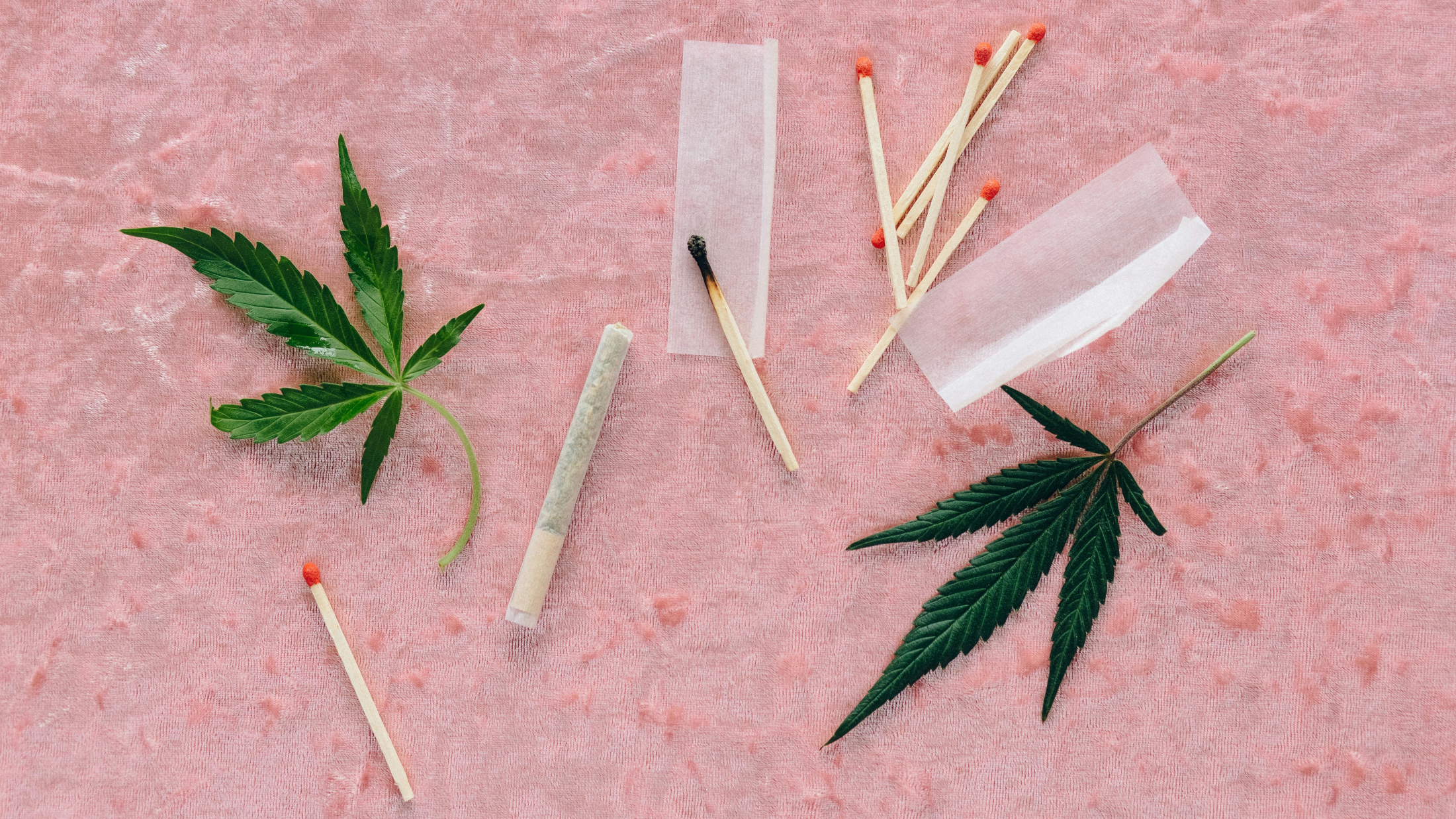 © Nataliya Vaitkevich