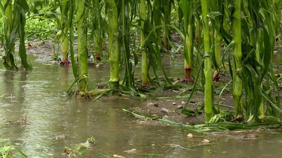 Versicherer erfassen Unwetterschäden, © Maurice Shourot Versicherer erfassen Unwetterschäden, © Maurice Shourot