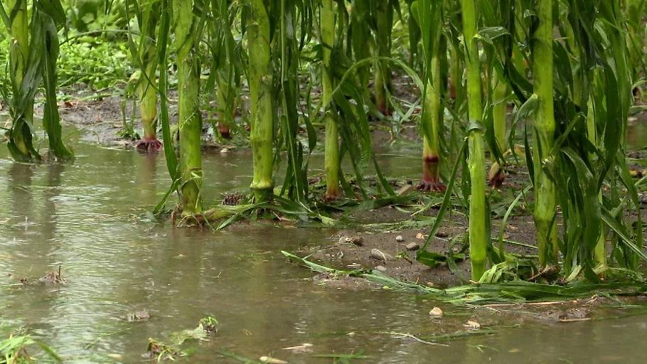 Versicherer erfassen Unwetterschäden, © Maurice Shourot