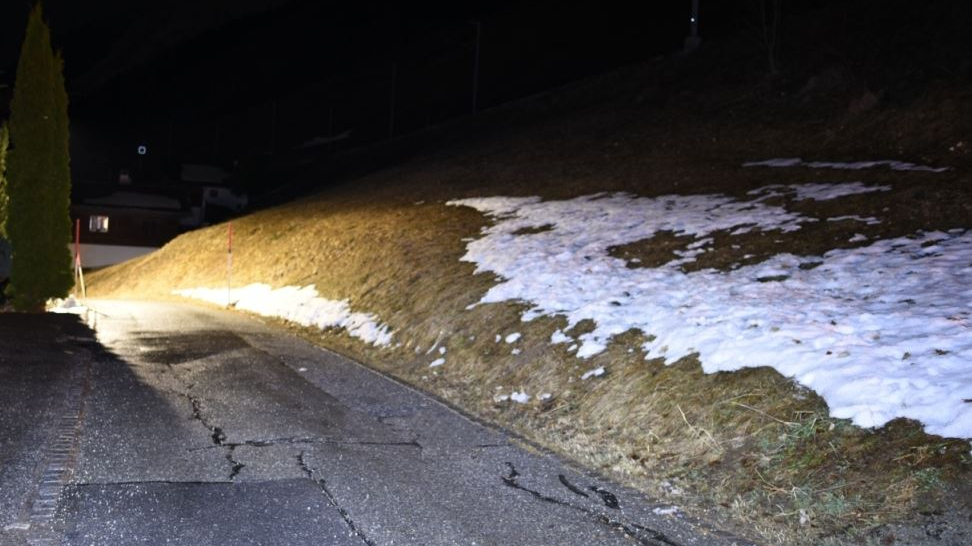 Jäger erschiesst angeleinten Hund, © Keystone-SDA