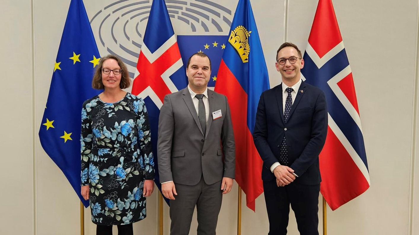EWR- und EU-Parlamentarier diskutieren in Strassburg, © pd/Landtag
