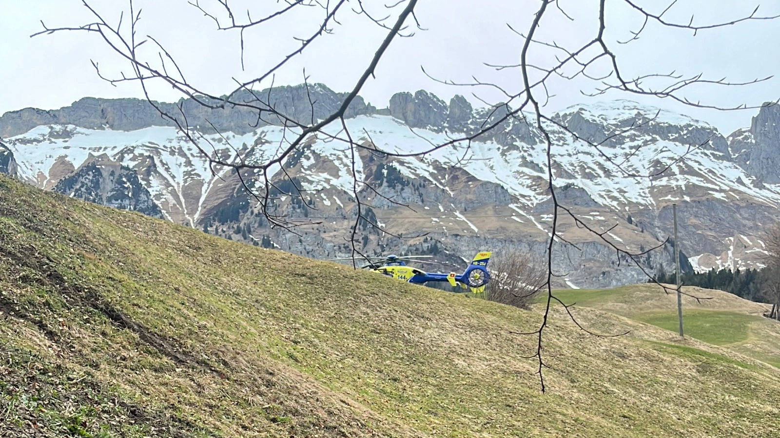 Unfall beim Zersägen eines Baums in Gams, © Kantonspolizei St. Gallen Unfall beim Zersägen eines Baums in Gams, © Kantonspolizei St. Gallen