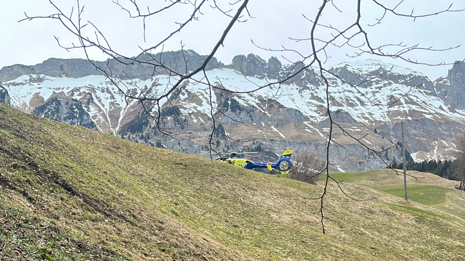 Unfall beim Zersägen eines Baums in Gams, © Kantonspolizei St. Gallen