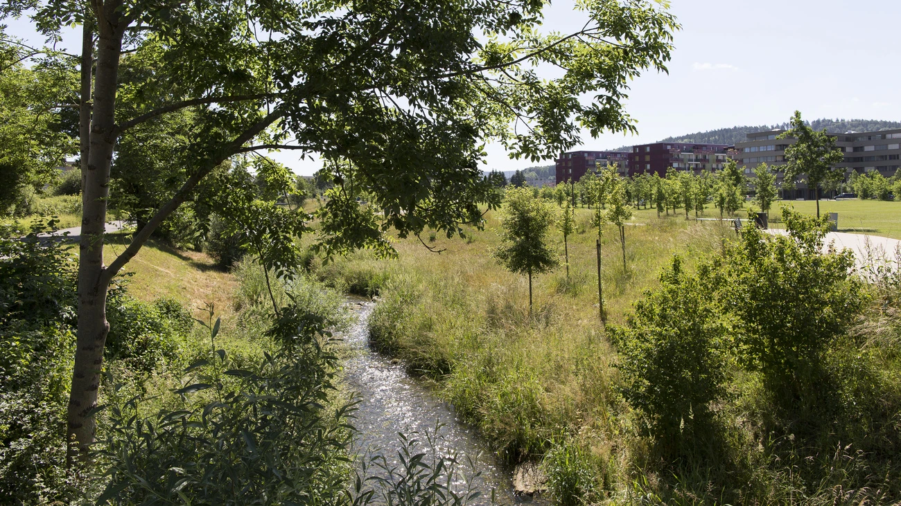 Jugendlicher stirbt in der Eulach, © Keystone SDA Jugendlicher stirbt in der Eulach, © Keystone SDA