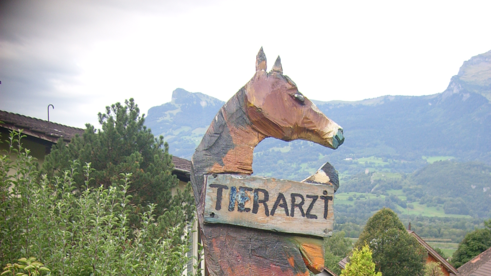 Kosten für Tierbehandlungen drücken aufs Portemonnaie, © Tierarztpraxis Risch in Triesen FL