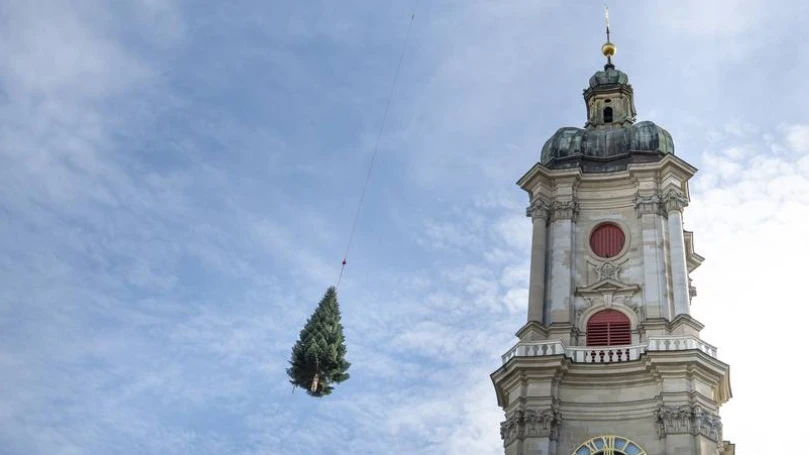 Traditioneller Weihnachtsbaum-Transport geplant, © ZVG/ Archivbild Traditioneller Weihnachtsbaum-Transport geplant, © ZVG/ Archivbild