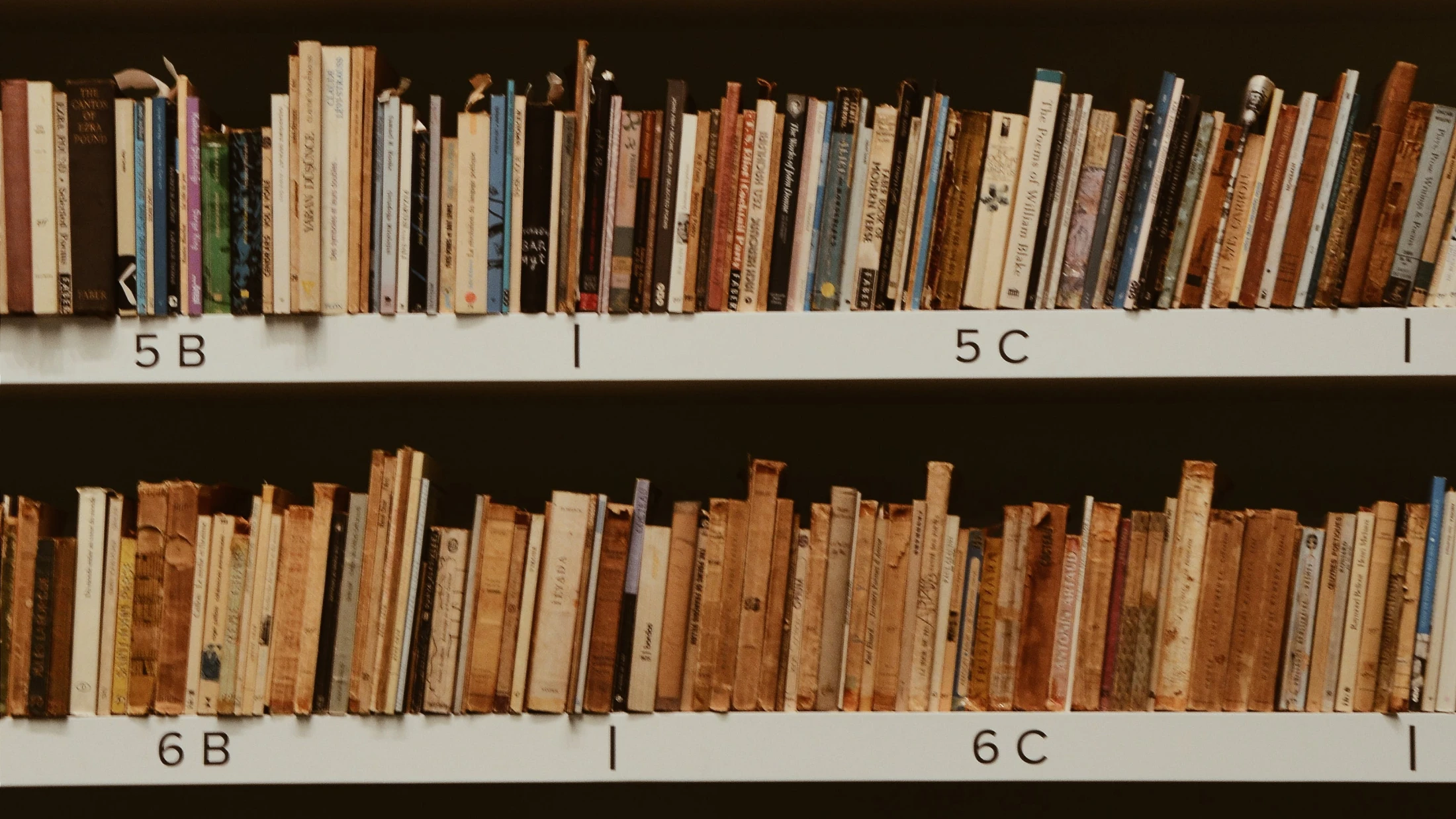 © Gül Işık © Gül Işık