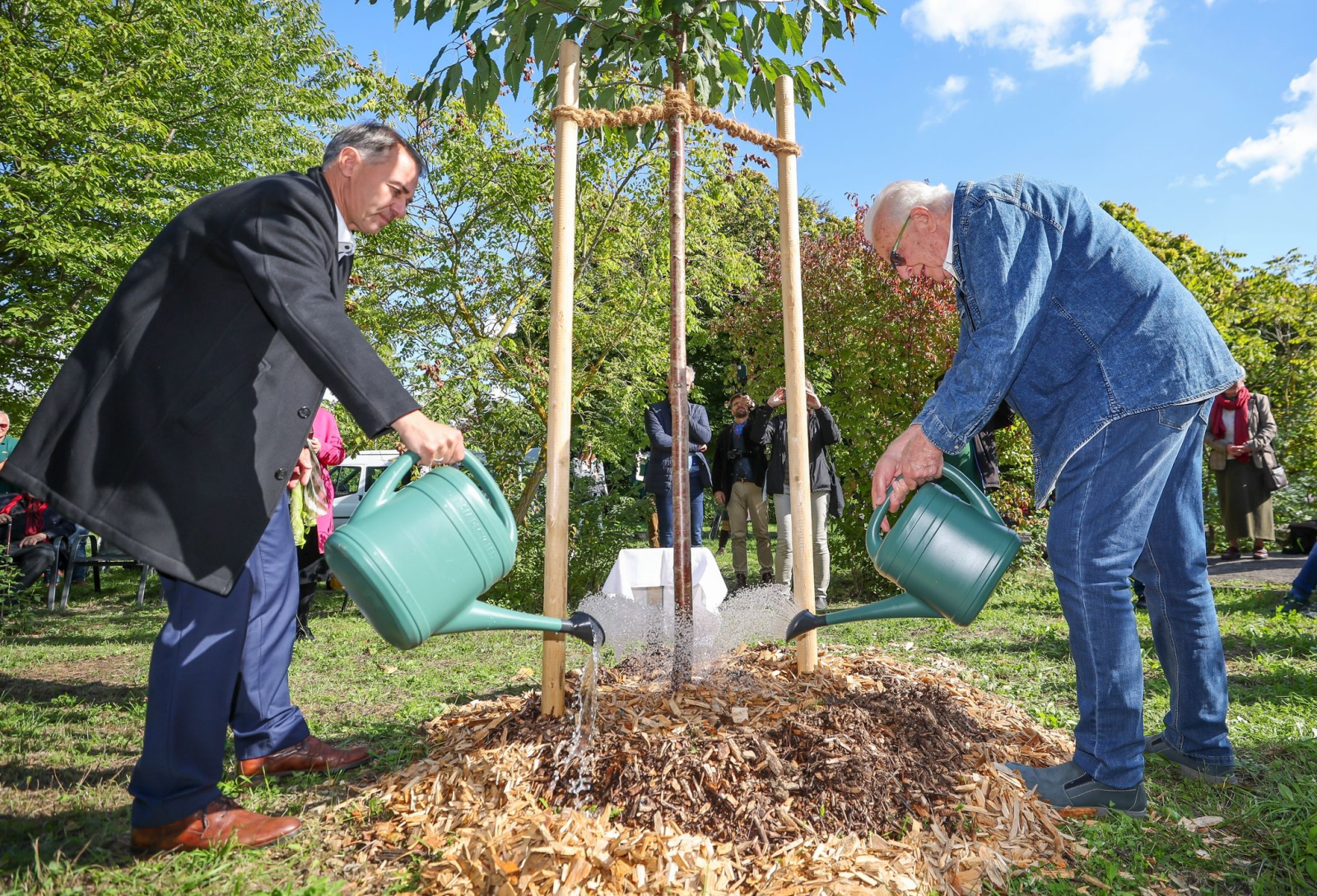 Naftali Fürst (l) und Peter Kleine (parteilos), Oberbürgermeister, pflanzen eine Wildkirsche.