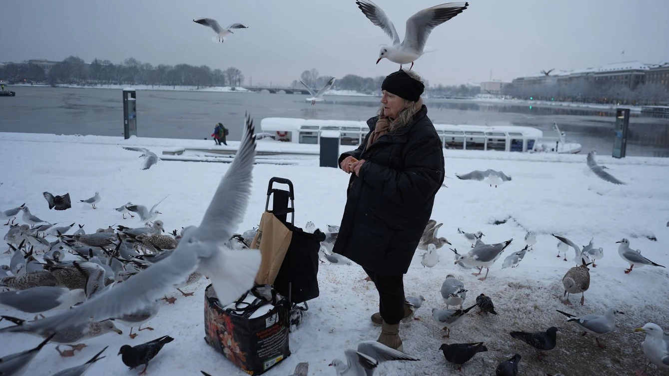 Hamburg’da Alster Donacak mı?, © Marcus Brandt/dpa Hamburg’da Alster Donacak mı?, © Marcus Brandt/dpa