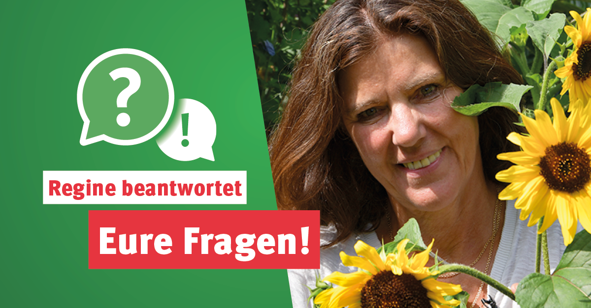 Antworten auf Eure Garten-Fragen
