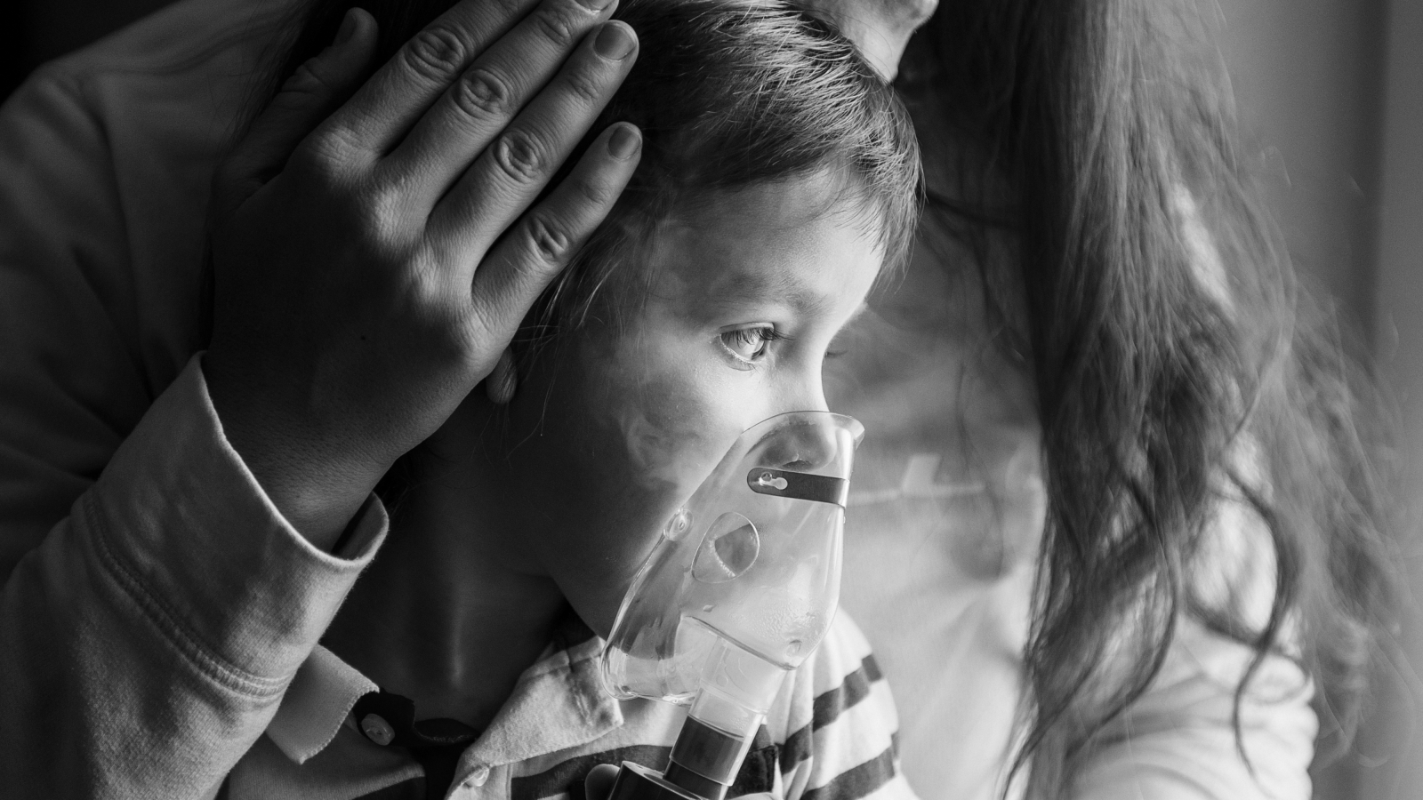 Baden-Württemberg , © shutterstock