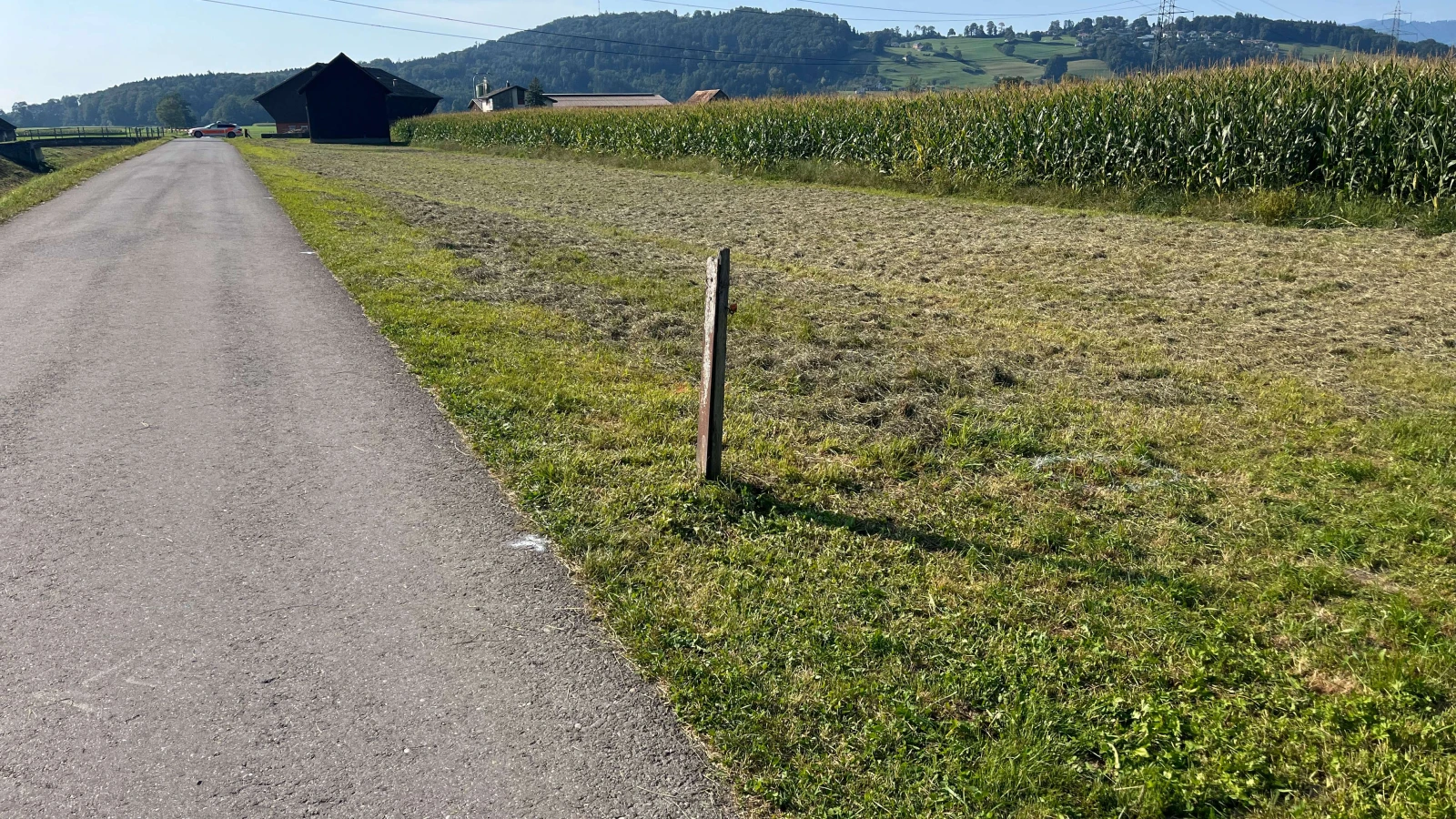 E-Bike-Fahrer in Schänis verstorben, © Kantonspolizei St. Gallen E-Bike-Fahrer in Schänis verstorben, © Kantonspolizei St. Gallen