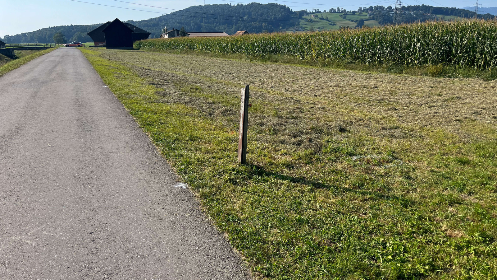 E-Bike-Fahrer in Schänis verstorben, © Kantonspolizei St. Gallen