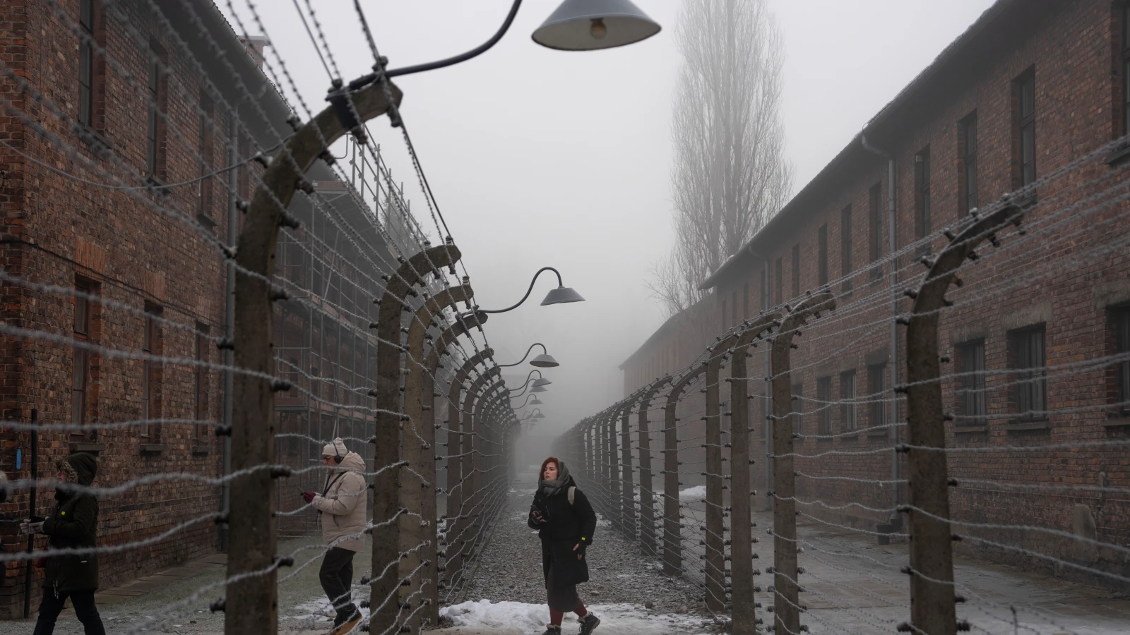Auschwitz’in Kurtuluşunun 81. Yıldönümü, © Oded Balilty/AP/dpa Auschwitz’in Kurtuluşunun 81. Yıldönümü, © Oded Balilty/AP/dpa