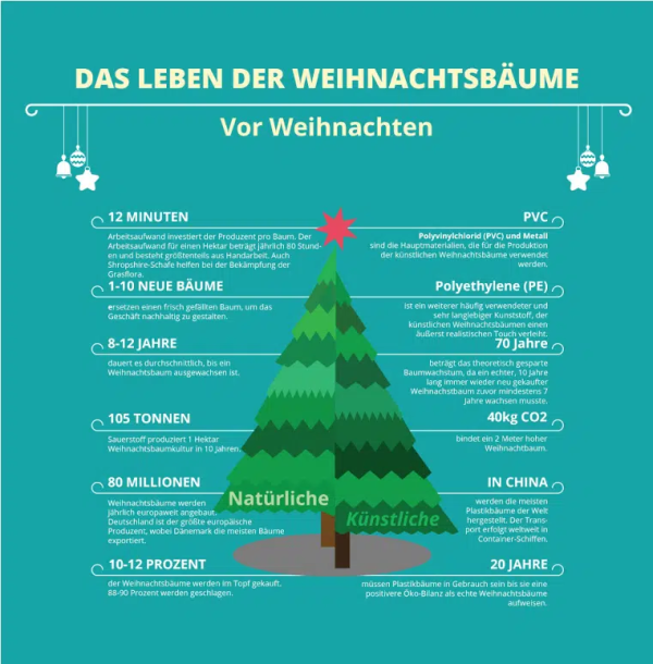 Das Leben von Weihanchtsbäumen, © Nachhaltig-sein.info