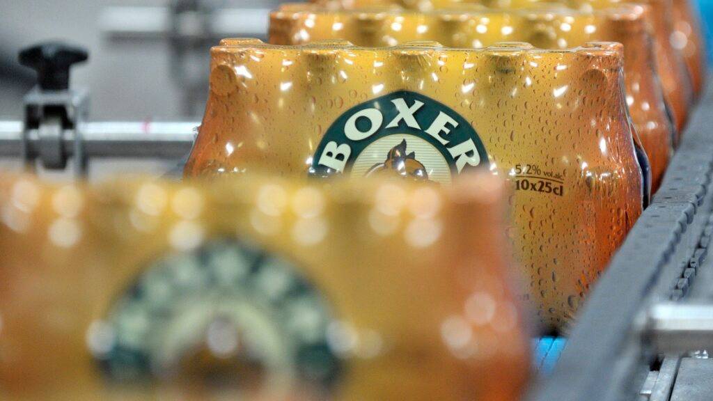 Chopfab Boxer sucht wegen Schuldenloch Hilfe von Brauerei Locher, © Keystone / SDA / Archivbild