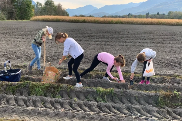 © ackerschaft.li © ackerschaft.li