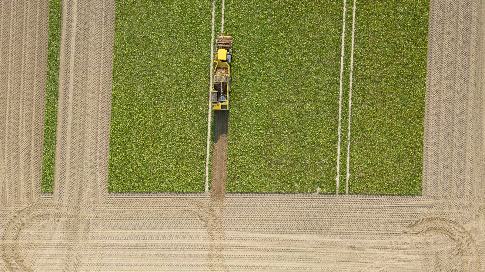 Tarımda Yüksek Dizel Fiyatları Çiftçileri Zorluyor, © Boris Roessler/dpa Tarımda Yüksek Dizel Fiyatları Çiftçileri Zorluyor, © Boris Roessler/dpa