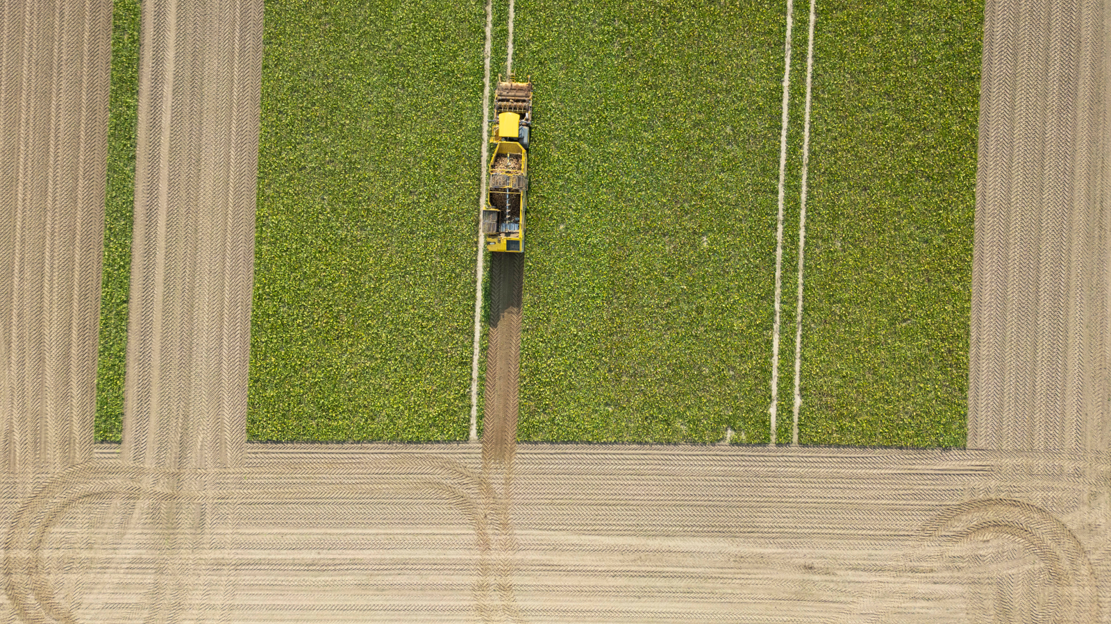 Tarımda Yüksek Dizel Fiyatları Çiftçileri Zorluyor, © Boris Roessler/dpa
