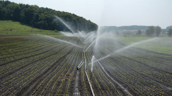 Ernährungsinitiative: Mehr Selbstversorgung umstritten, © Radio Munot