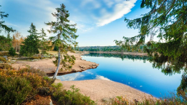 Blick auf einen See in der Natur, © Braunlage Tourismus Blick auf einen See in der Natur, © Braunlage Tourismus