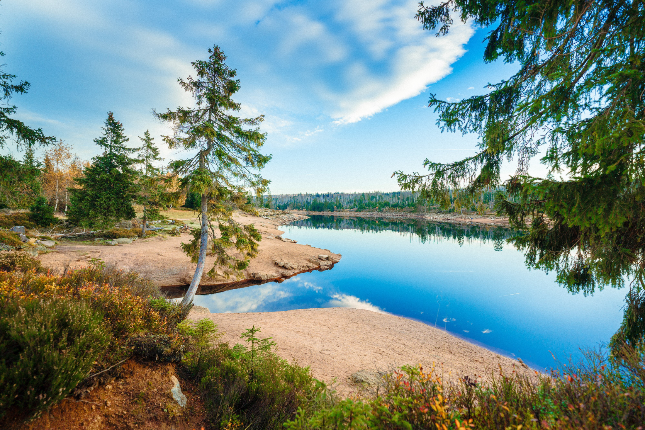 Blick auf einen See in der Natur, © Braunlage Tourismus