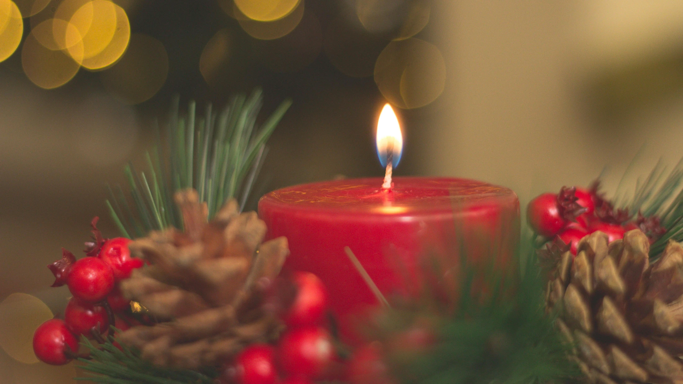 © Nubia Navarro (nubikini) © Nubia Navarro (nubikini)